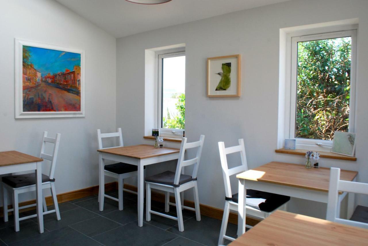 Ty Boia Bed & Breakfast St Davids Exterior foto
